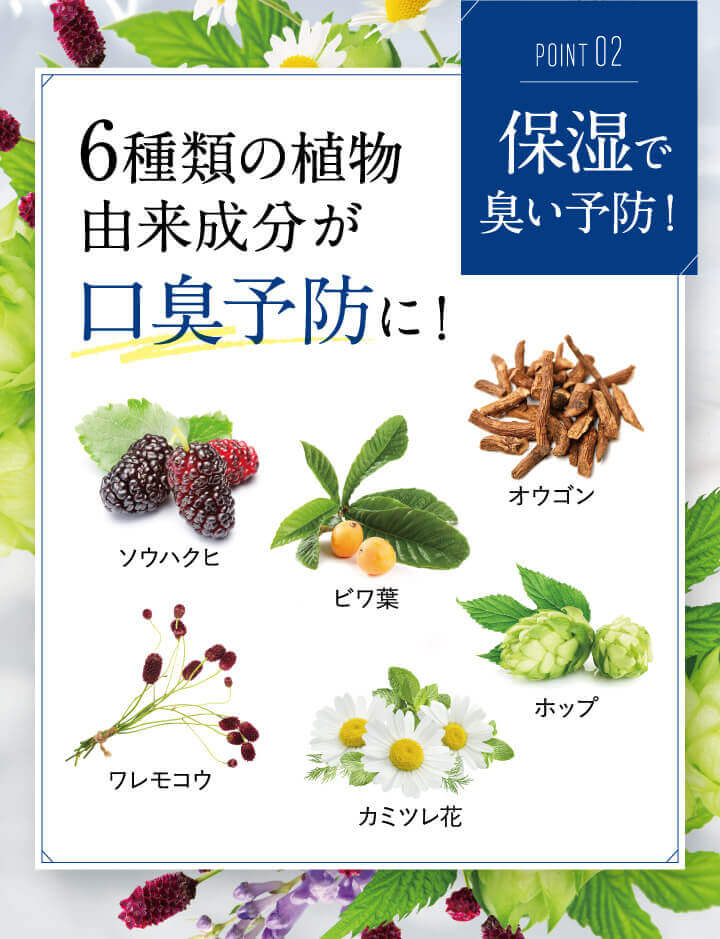 植物由来の有効成分